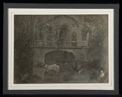 Volière van Jean-Gabriel Eynard door Jean Gabriel Eynard